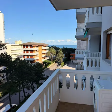 Palm 21